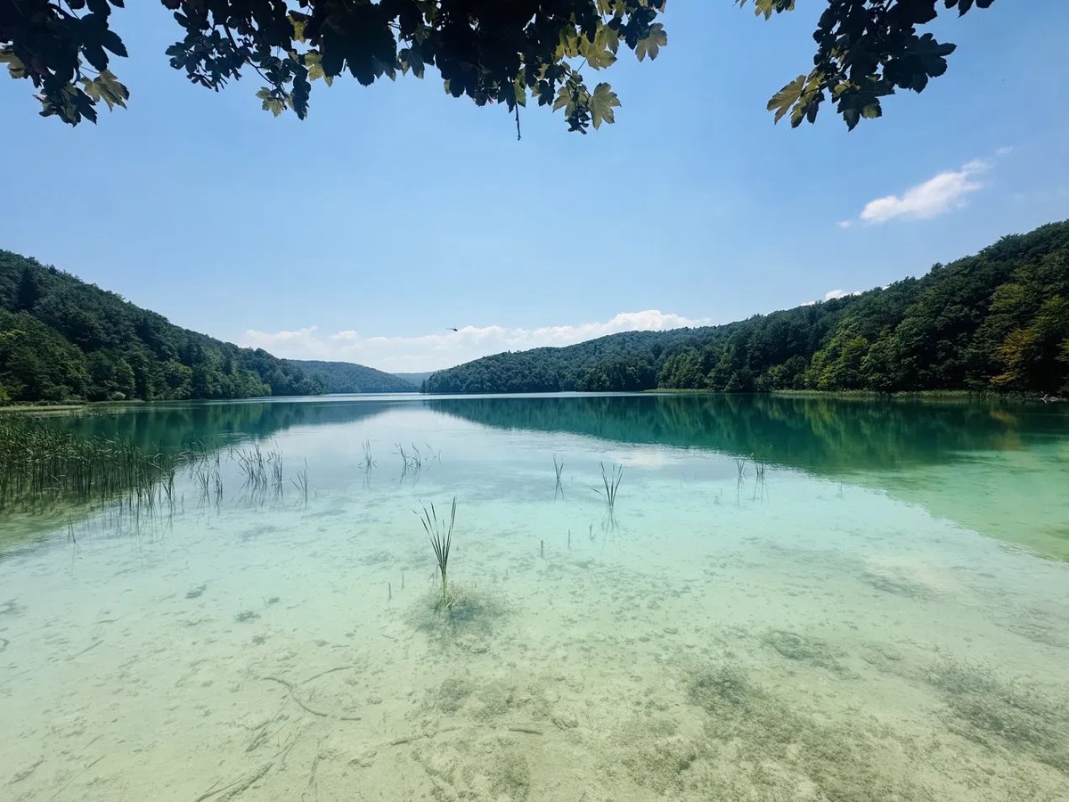 Shallow turquoise cove at Plitvice National Park