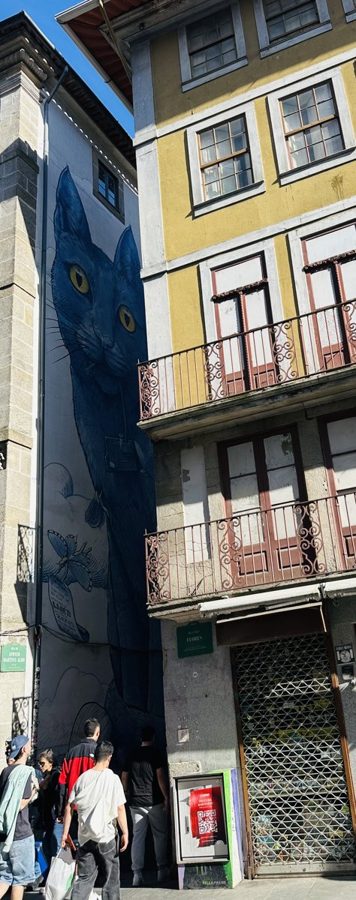 Porto Ribeira