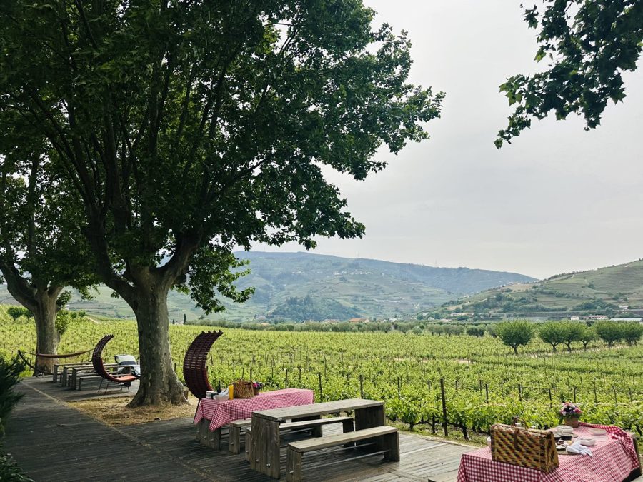 The spot at Quinta