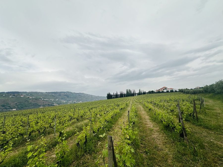 Hike route to Lamego