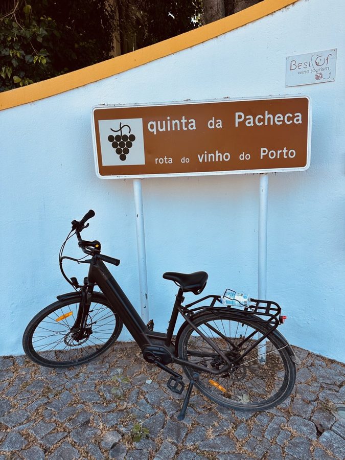 E-bike through Quinta vineyards